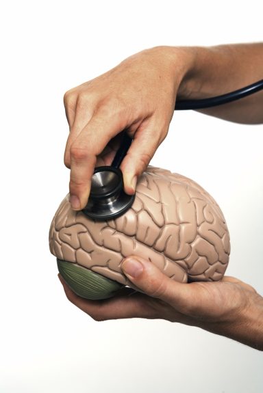 Mano sujetando un modelo de cerebro mientras usa un estetoscopio.